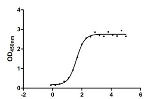 S protein of Novel Coronavirus SARS-CoV-2/ 2019-nCoV (human) in the group Antibodies Human Cell Biology / Coronavirus Research at Agrisera AB (Antibodies for research) (AS20 4386)